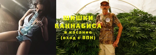 соль ск Козловка